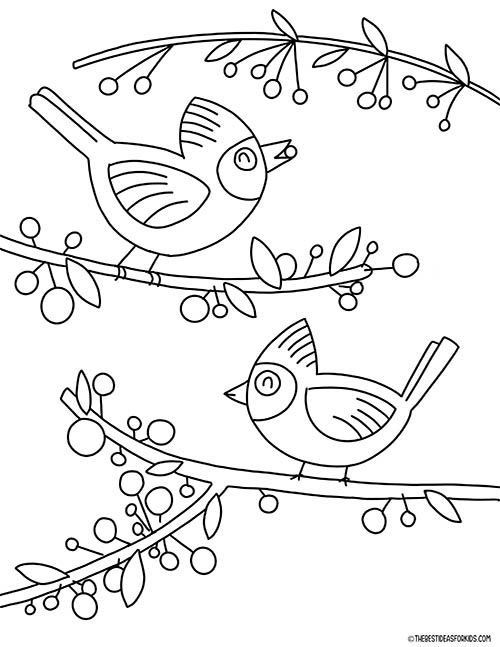 Cardinals Coloring Page