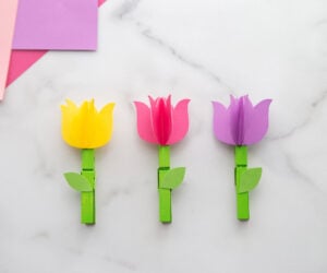 Clothespin Flower