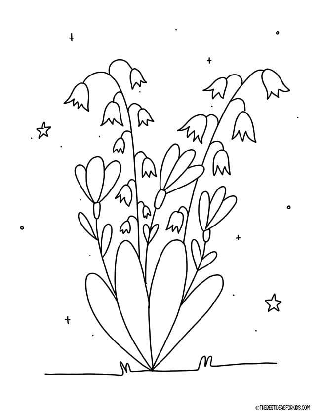 Spring Flower Coloring Page