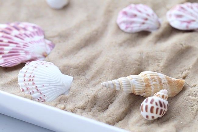 Add Seashells to Play Tray