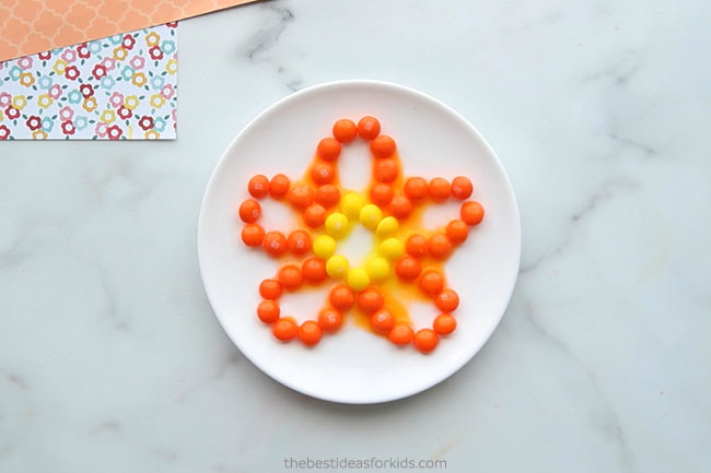 Add Water to Flower Skittles