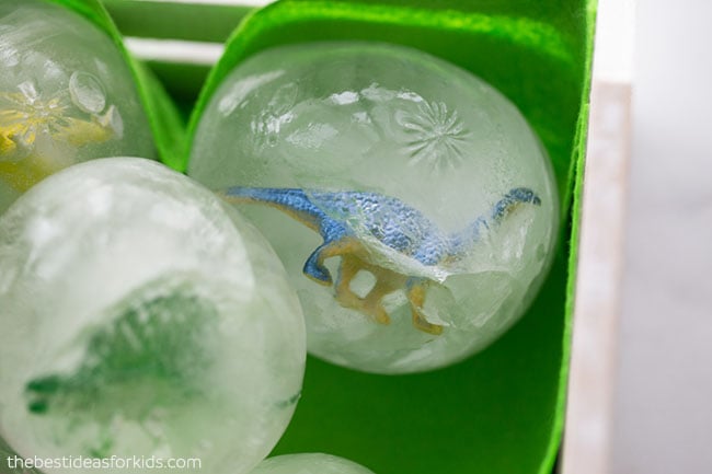 Dinosaur Frozen Egg