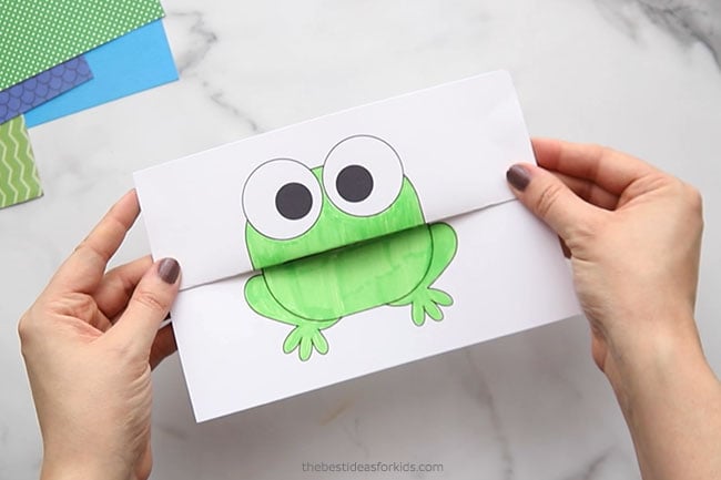 Folding Frog