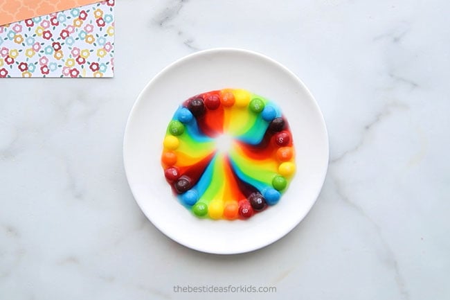 Skittles Science Experiment for Kids