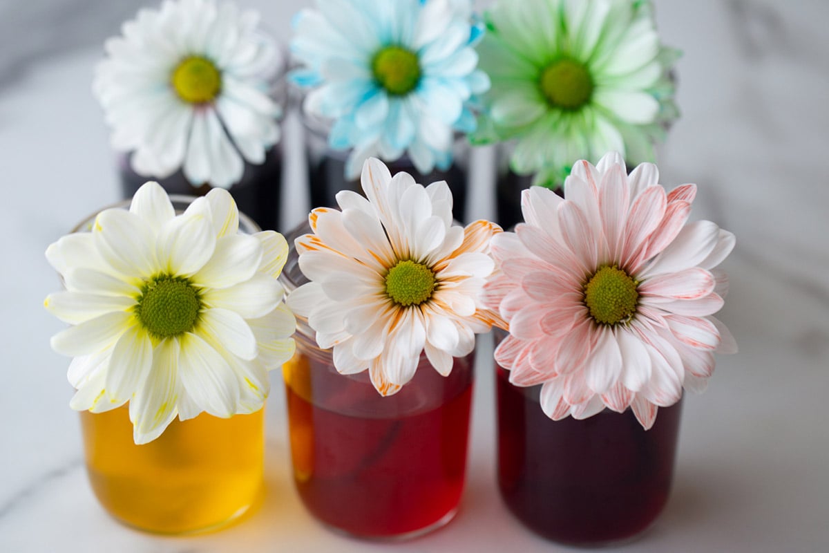How To Change Artificial Flower Color at kimberrsikora blog