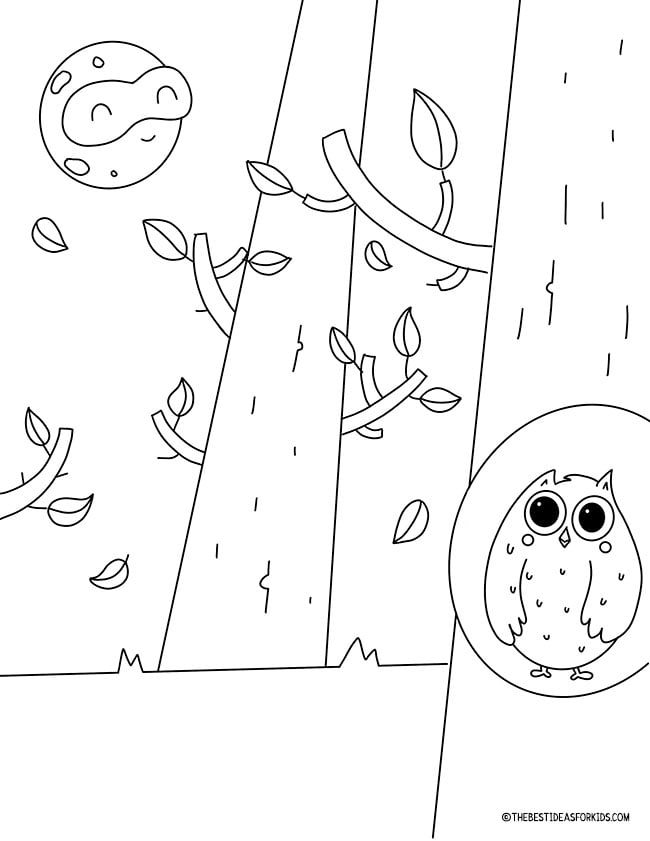 Owl in Tree Coloring Page