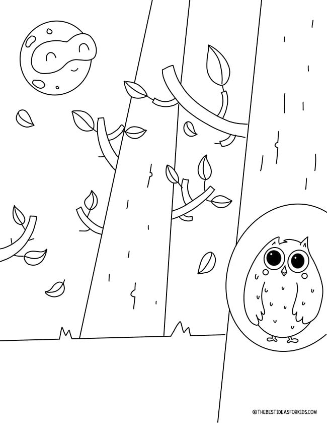 Owl in Tree Coloring Page