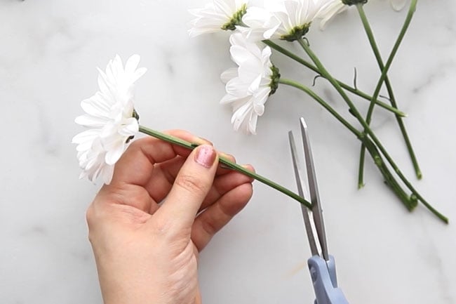 Trim Stem of Flower