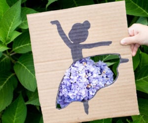 Cardboard Ballerina