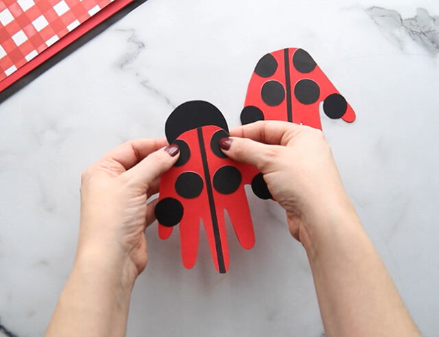 Glue the Head to the Back of the Ladybug