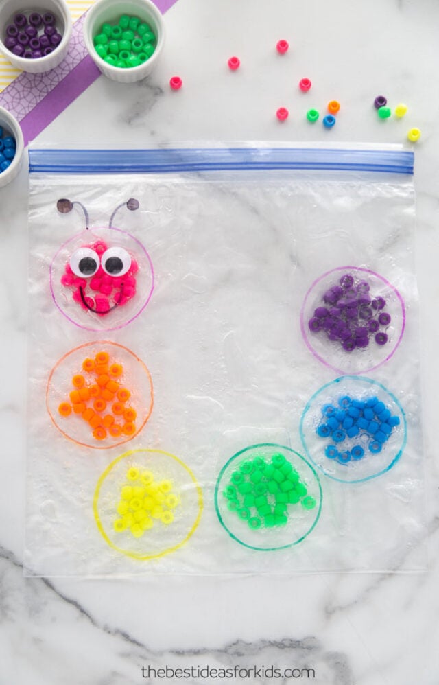 caterpillar sensory bags
