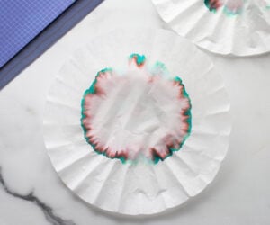 Coffee Filter Chromatography