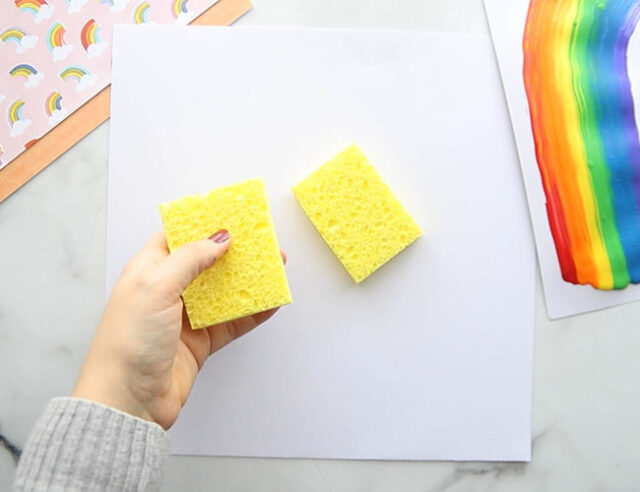 Cut Sponge in Half