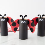Toilet Paper Roll Ladybug Cover