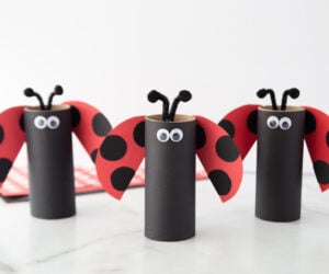 Toilet Paper Roll Ladybug Cover