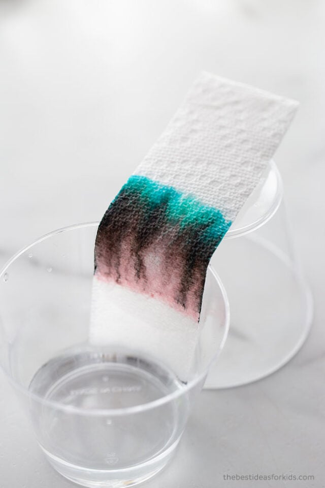 Coffee Filter Chromatography - The Best Ideas for Kids