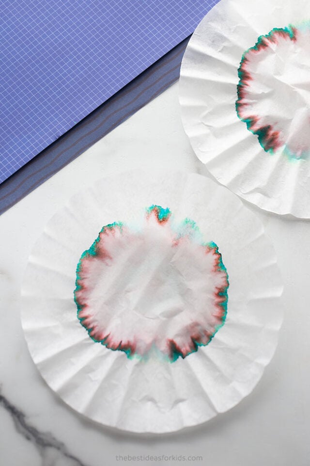 Coffee Filter Chromatography - The Best Ideas for Kids