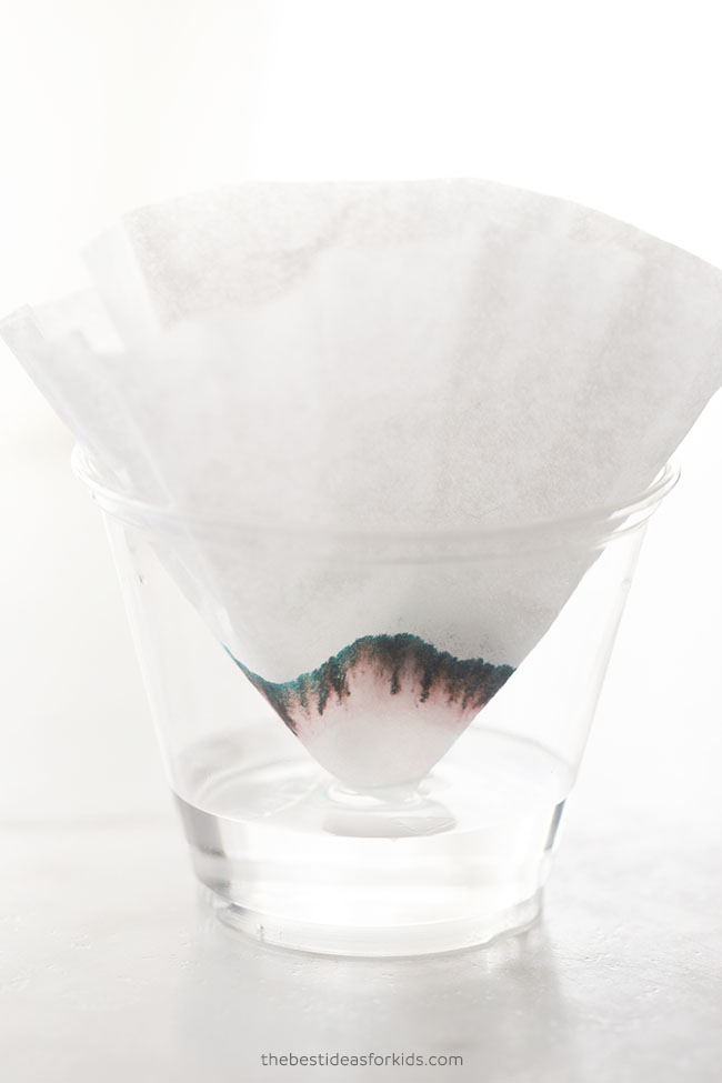 Coffee Filter Chromatography The Best Ideas for Kids