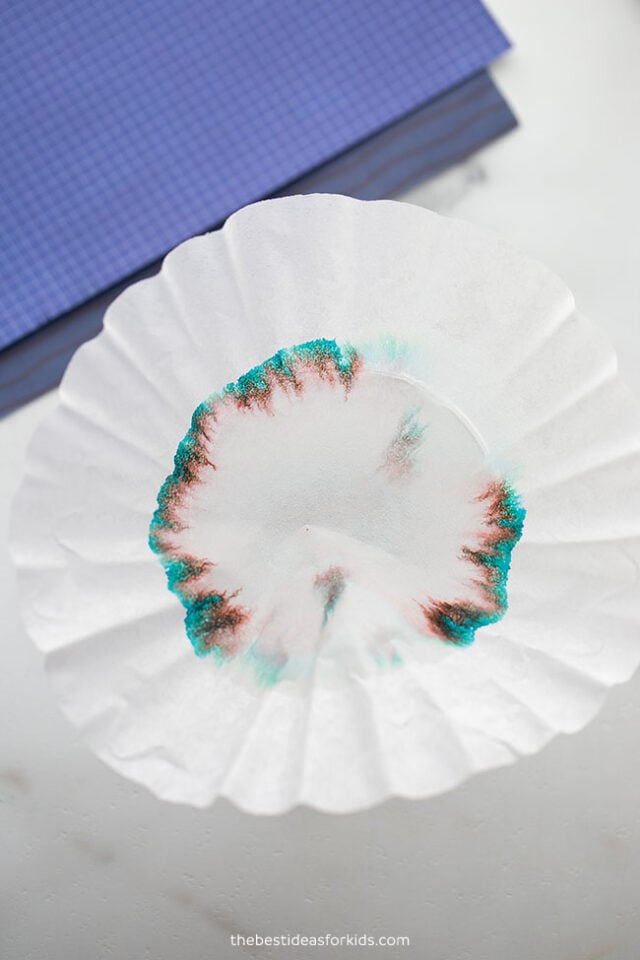 Coffee Filter Science Experiment