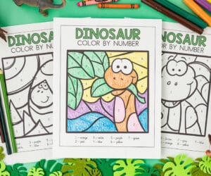 dinosaur color by number cover