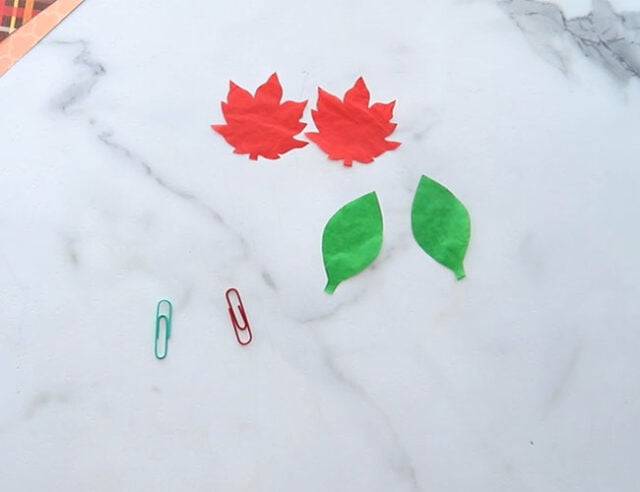 Cut out leaves from tissue paper