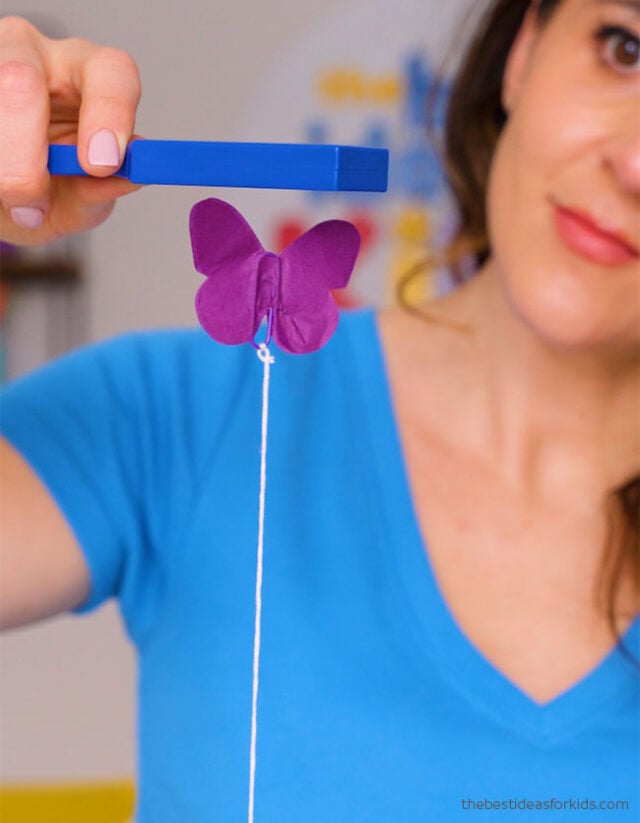 Floating Butterfly Magnet Experiment