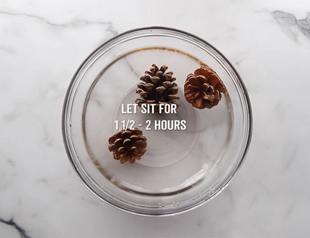 Place pine cones in bowl