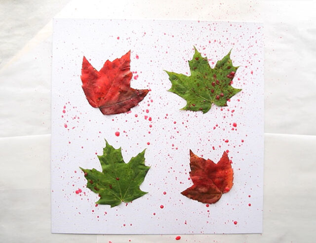 Spray Paint Leaves with Red