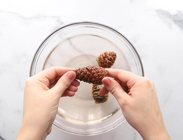 Take pine cones out of water