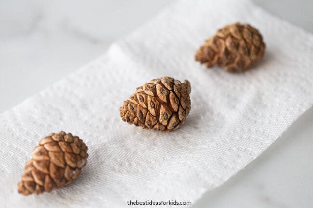 How to Clean Pine Cones for Crafting — The Budding Artists