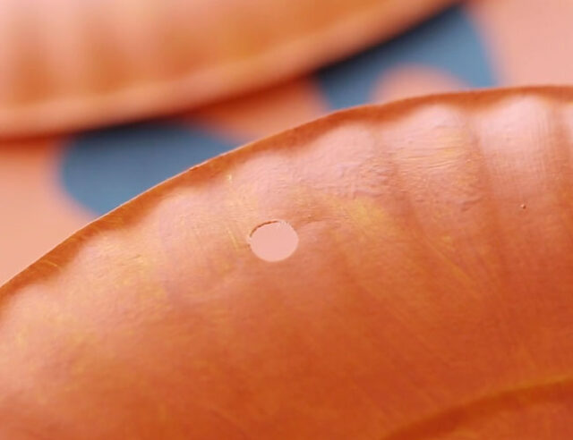 Hole in paper plate for stem