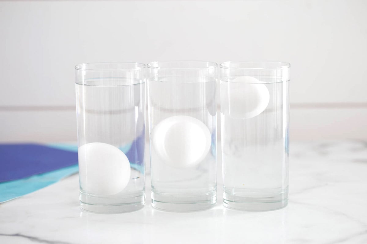 Floating egg experiment the best ideas for kids