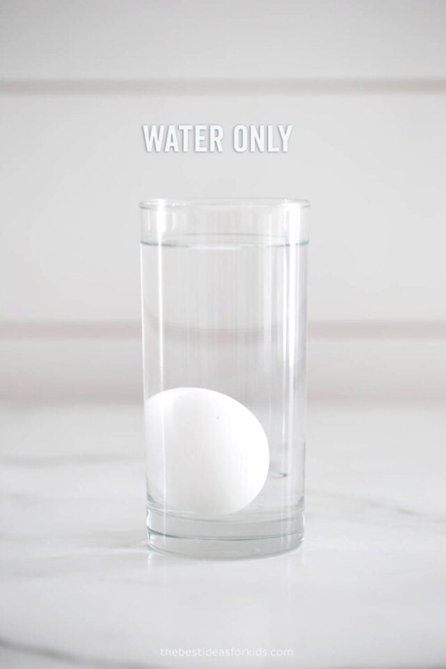 egg in water only