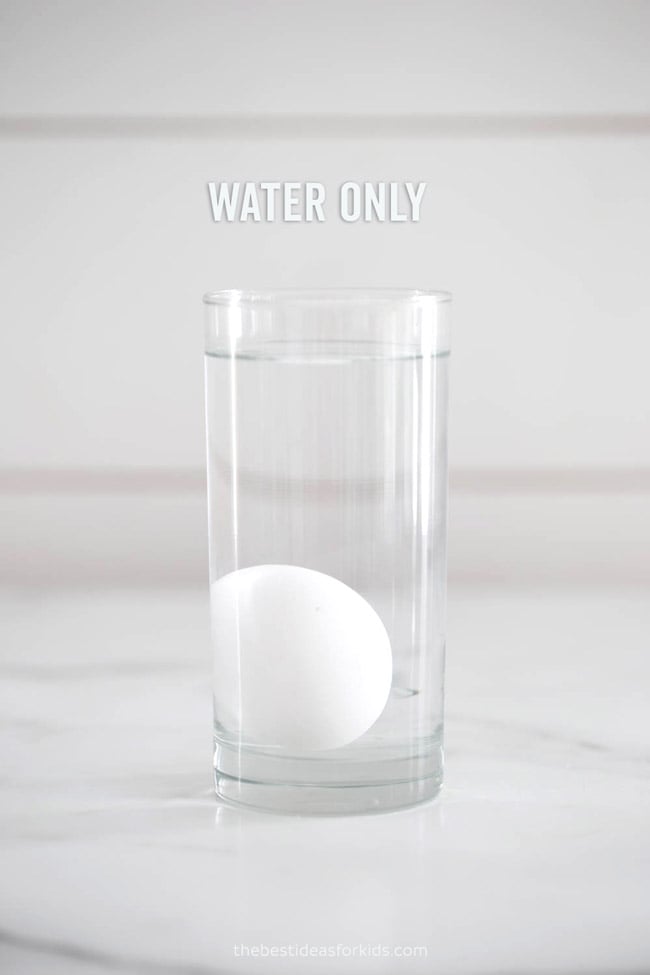 Floating egg experiment the best ideas for kids