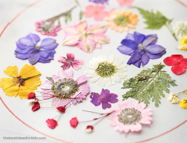 Create Beautiful DIY Pressed Flower Crafts for Kids with Our Suncatcher  Tutorial