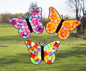 Butterfly Suncatcher Cover