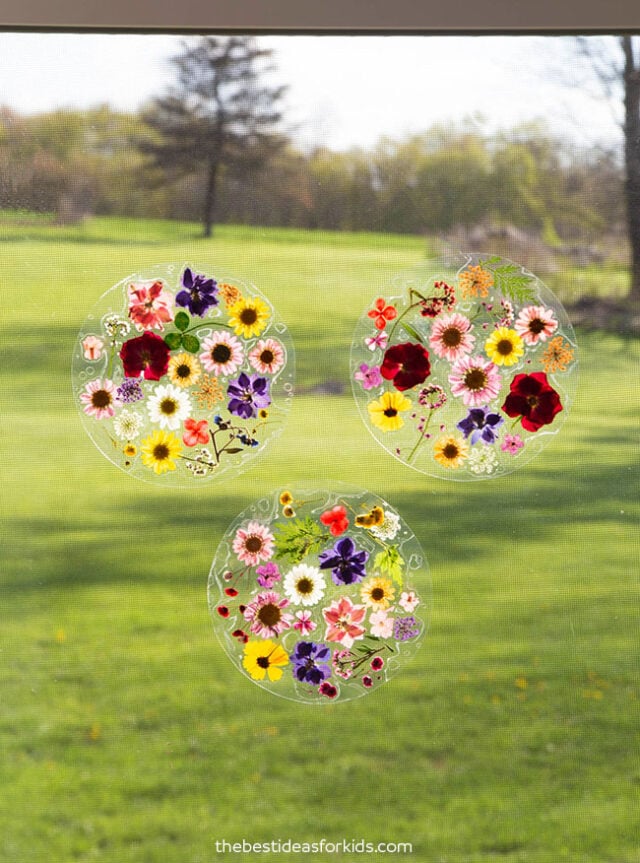 Pressed Flower Suncatcher - The Best Ideas for Kids