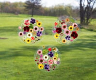 Pressed Flower Suncatcher