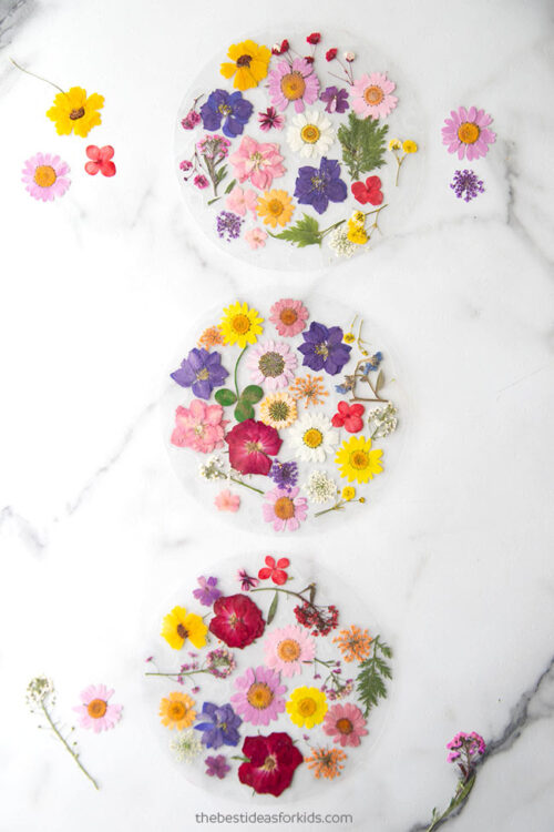 Pressed Flower Suncatcher The Best Ideas for Kids