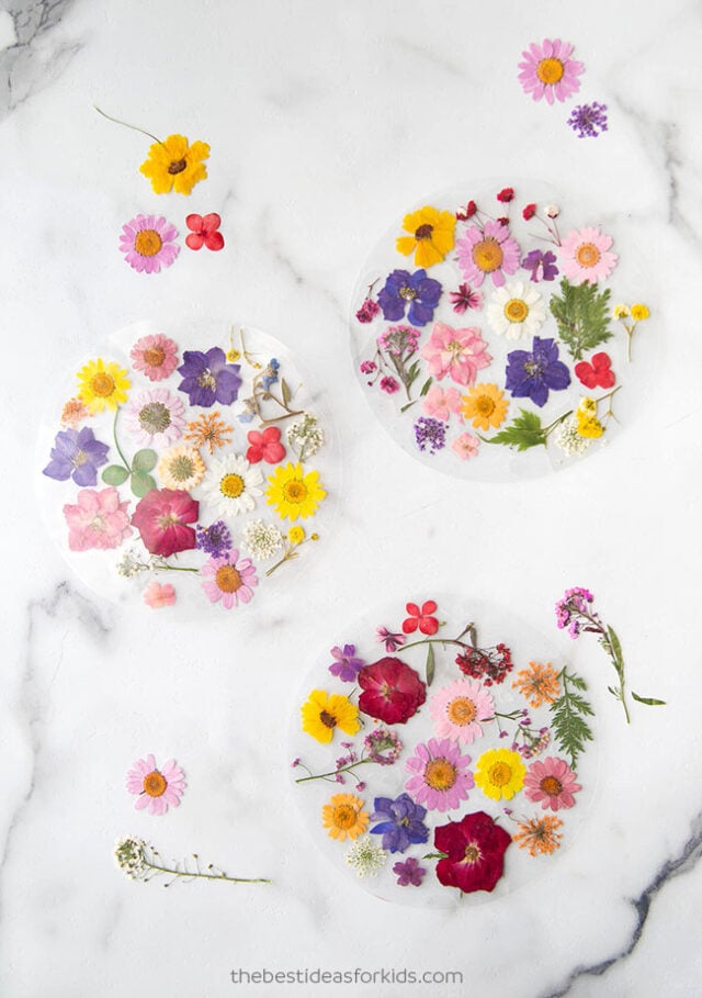 DIY Pressed Flower Suncatcher Craft