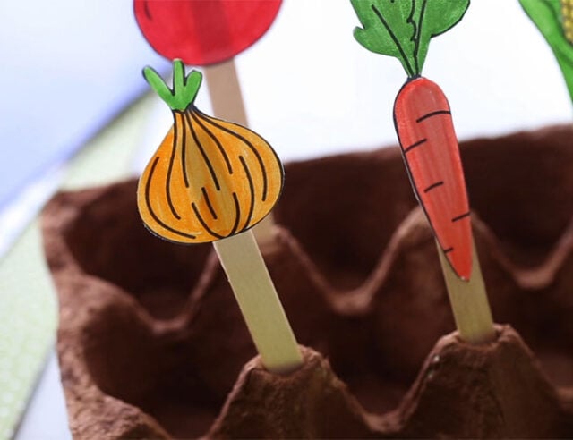 Add Popsicle Sticks into Egg Carton