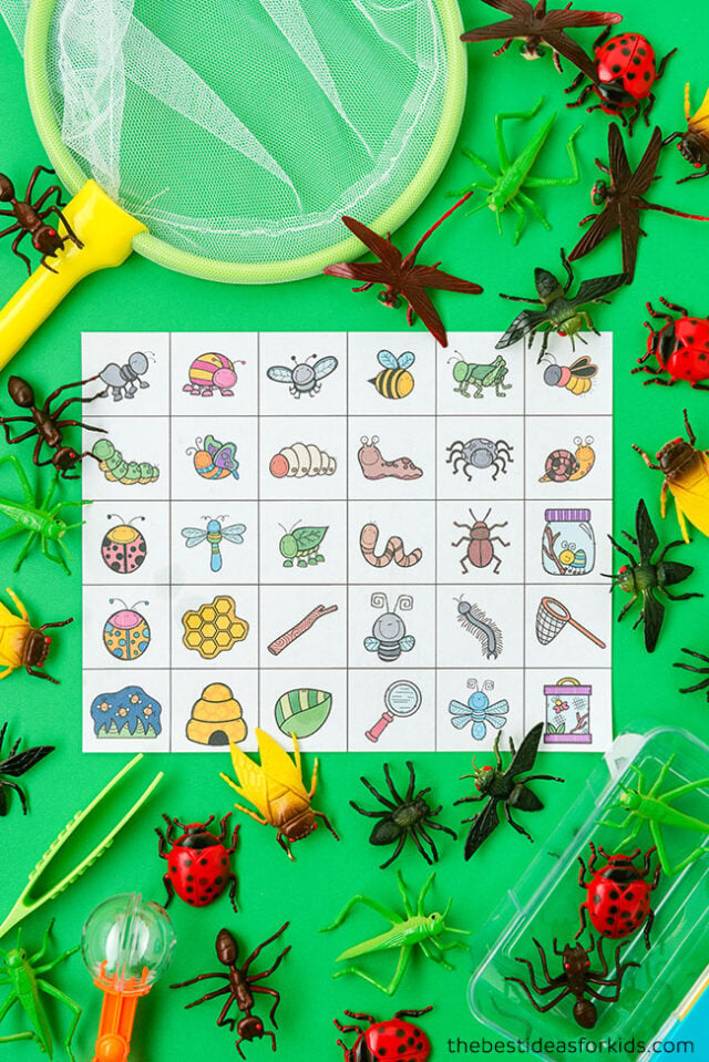Bug Bingo Calling Cards