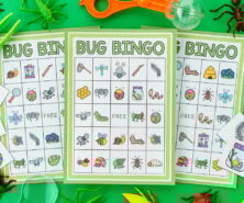 Bug Bingo