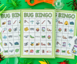 Bug Bingo