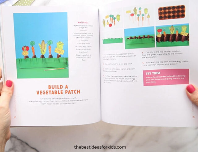 Build a Vegetable Patch