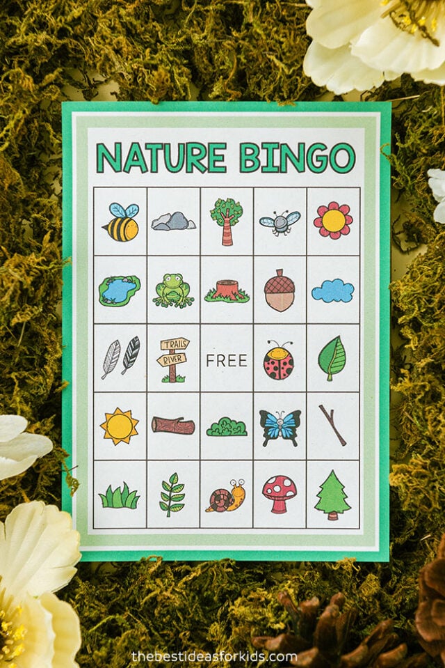 Free Printable Nature Bingo Cards