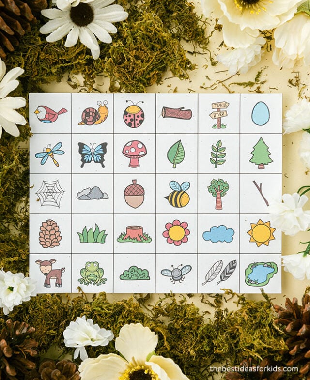 Nature Bingo Calling Cards
