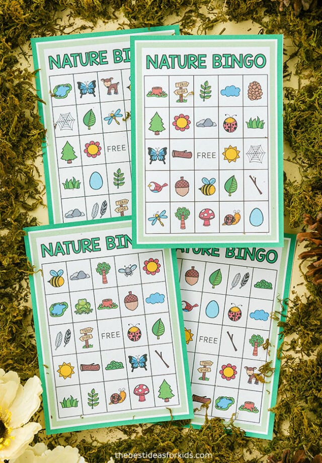 Nature Bingo Cards