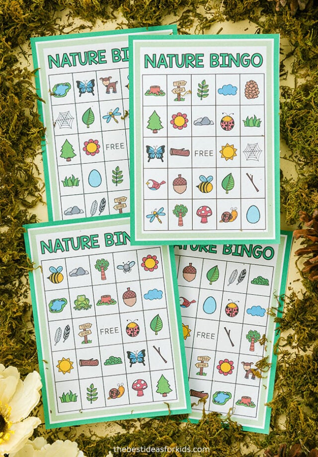 Nature Bingo (Free Printables) The Best Ideas for Kids
