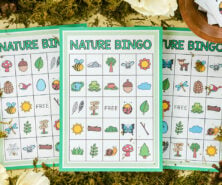 Nature Bingo